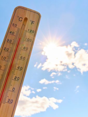 The Gardening Rule More Americans Are Ignoring During Heatwaves
