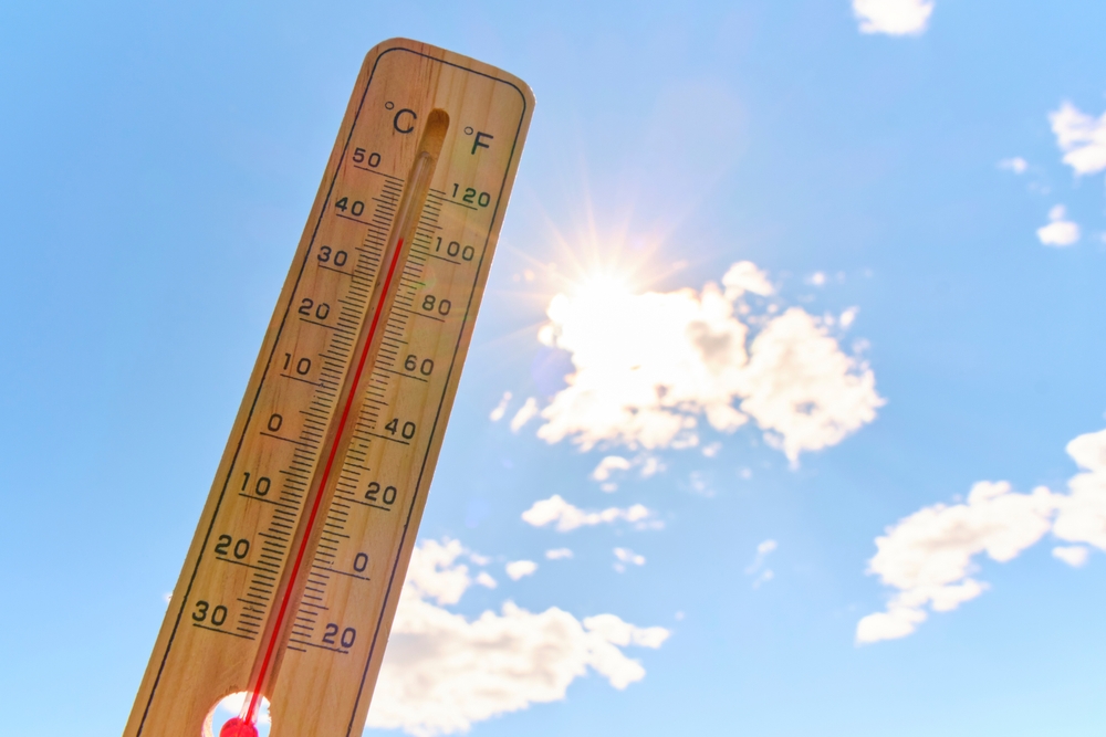 The Gardening Rule More Americans Are Ignoring During Heatwaves