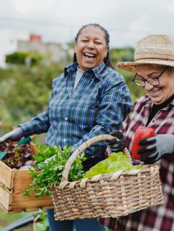 The Gardening Trend Millennials and Retirees Suddenly Agree On