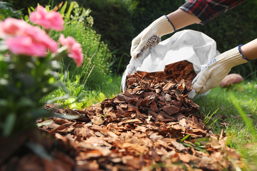 7 Cheap Ways to Protect Plants During Extreme Heat