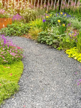 8 Backyard Ideas That Add Charm Without Spending Much Money