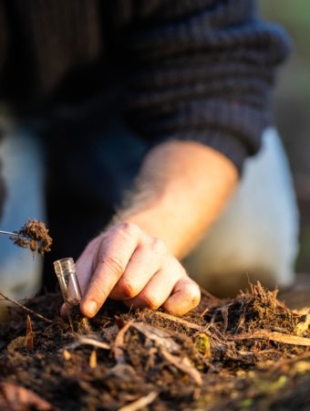 7 Gardening Habits That Waste Money Every Summer
