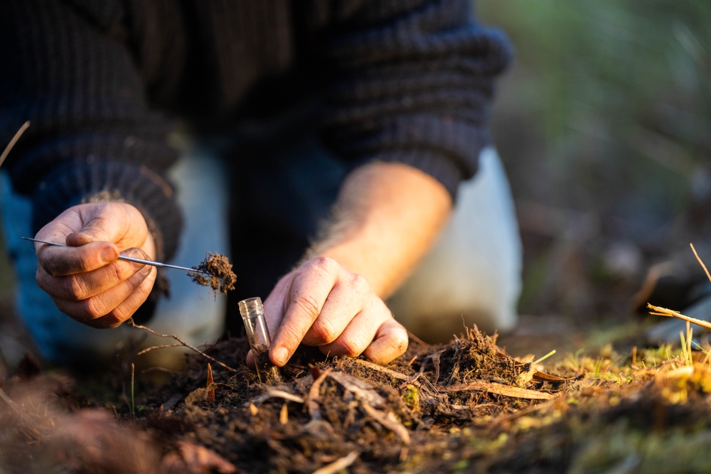 7 Gardening Habits That Waste Money Every Summer