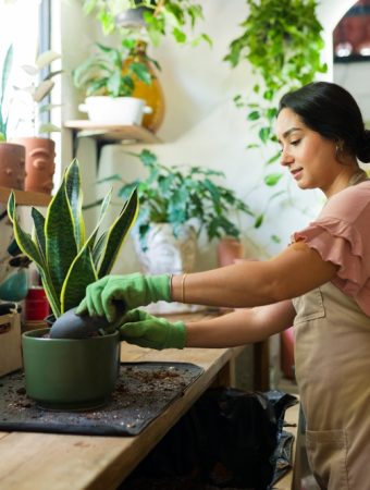 9 Plants That Can Handle Neglect Better Than Most