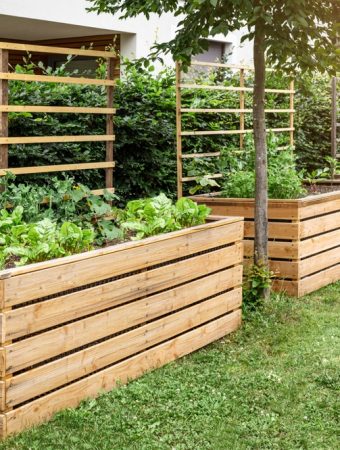 Why Raised Garden Beds Are Becoming a Backyard Status Symbol
