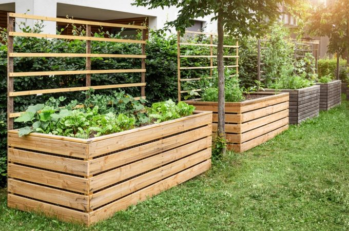 Why Raised Garden Beds Are Becoming a Backyard Status Symbol