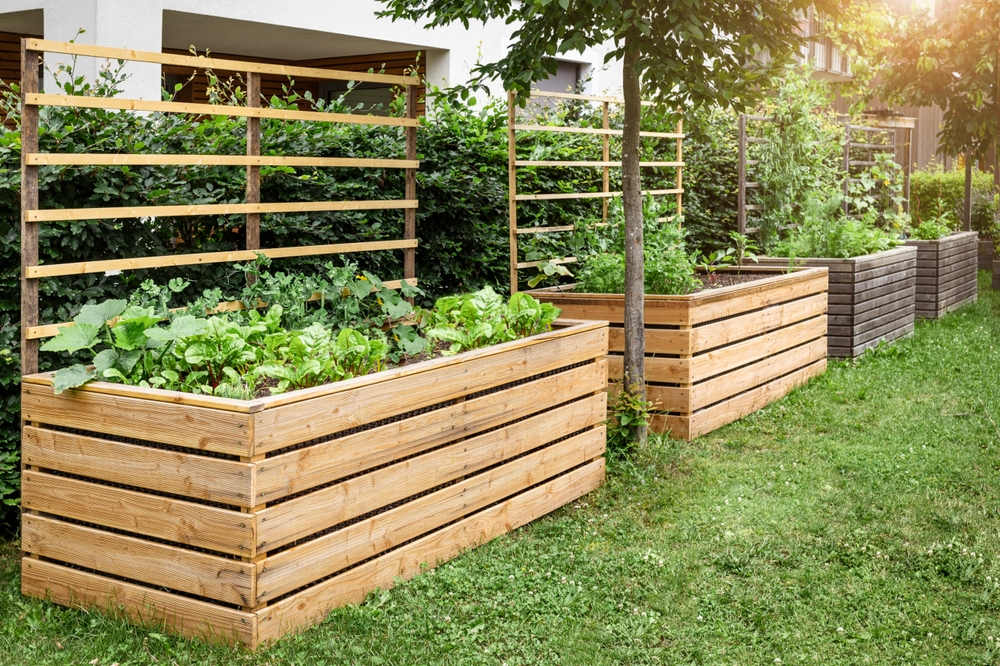Why Americans Are Spending Less on Landscaping and More on Food Gardens