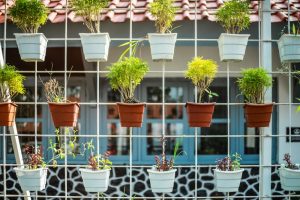 The $5 Dollar Store Gardening Hack Everyone on Newsbreak Is Trying