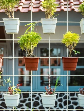 The $5 Dollar Store Gardening Hack Everyone on Newsbreak Is Trying