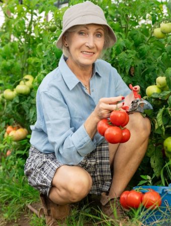 What Experienced Gardeners Wish They Knew Their First Year