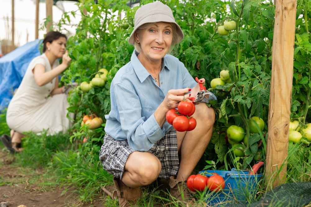 What Experienced Gardeners Wish They Knew Their First Year