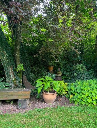 8 Plants That Help Create Natural Backyard Shade