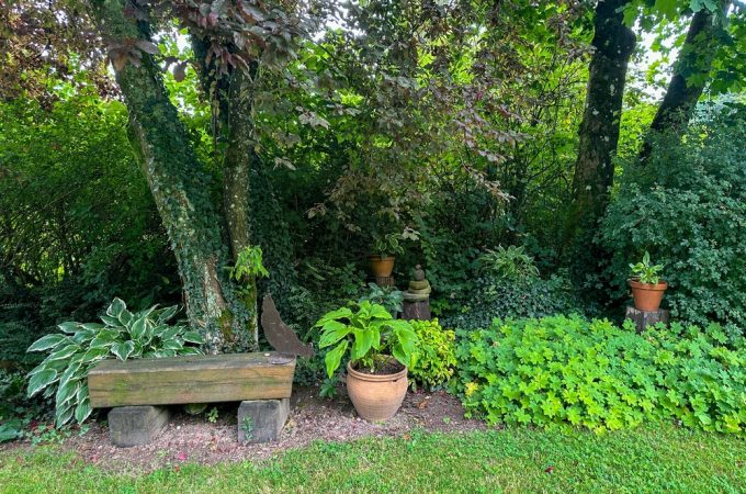8 Plants That Help Create Natural Backyard Shade