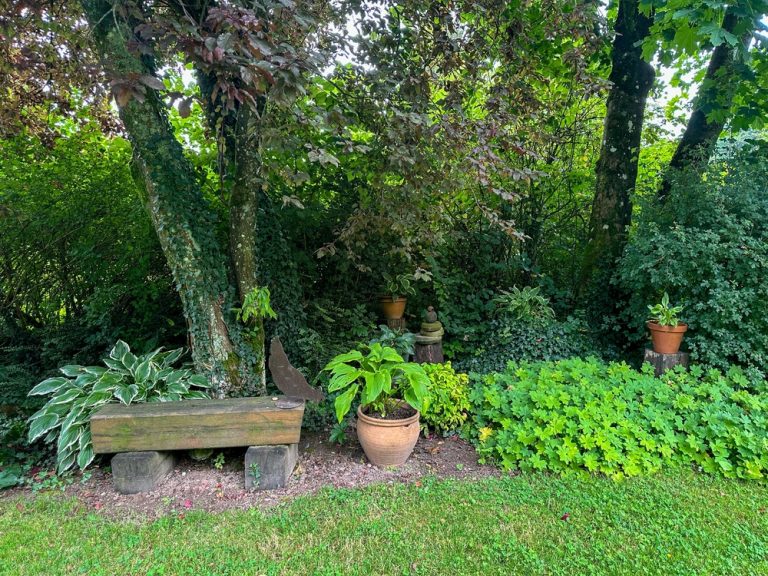 8 Plants That Help Create Natural Backyard Shade