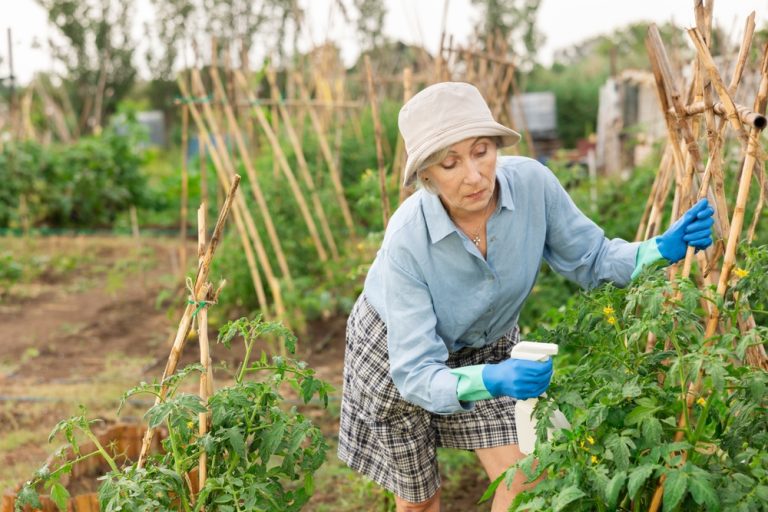 The One Gardening Tool People Over 60 Say They Wish They Bought Earlier