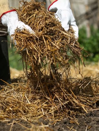 The Gardening Habit That Can Reduce Weeds Naturally