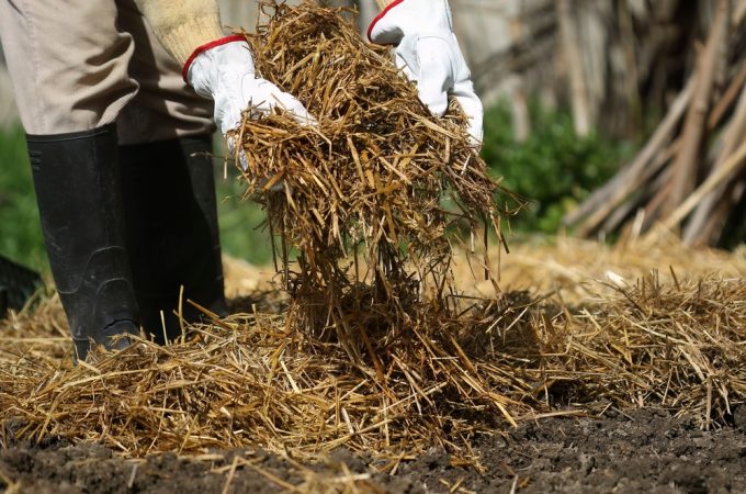 The Gardening Habit That Can Reduce Weeds Naturally