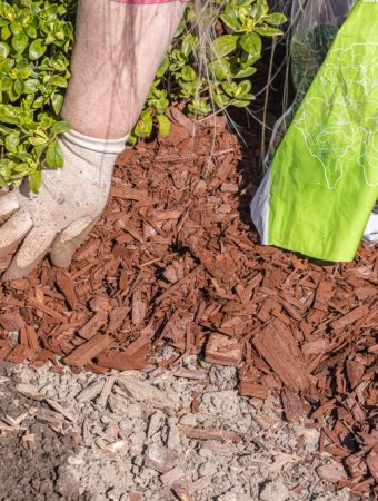 9 Gardening Tricks Grandparents Used That Still Work Today