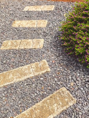 The Gardening Trend That’s Replacing Expensive Landscaping