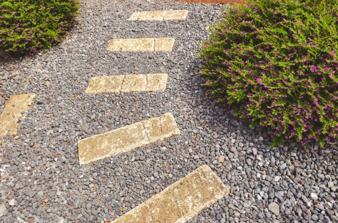 The Gardening Trend That’s Replacing Expensive Landscaping