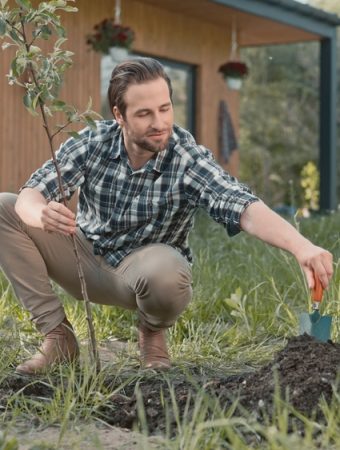 Why More Homeowners Are Planting Fruit Trees Again