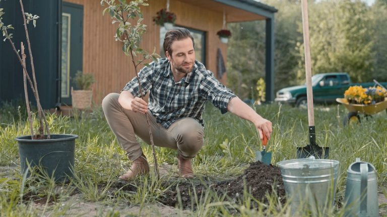 Why More Homeowners Are Planting Fruit Trees Again