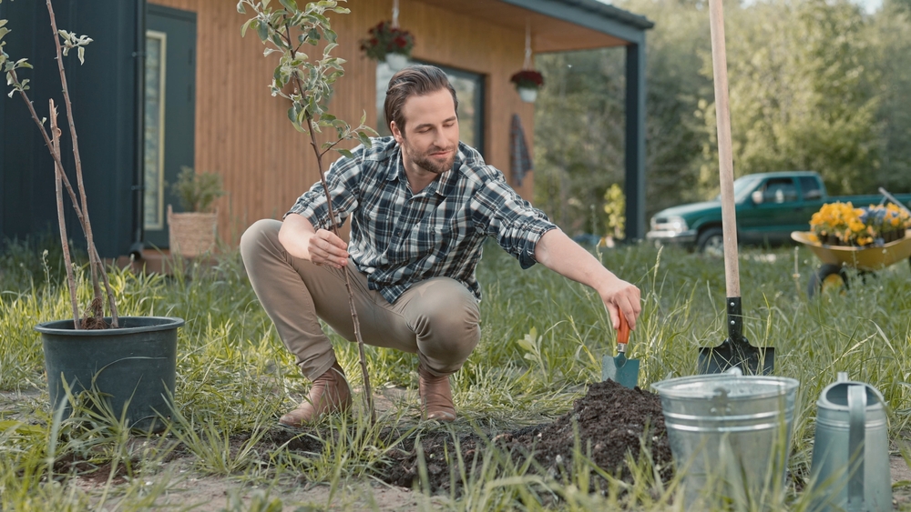 Why More Homeowners Are Planting Fruit Trees Again