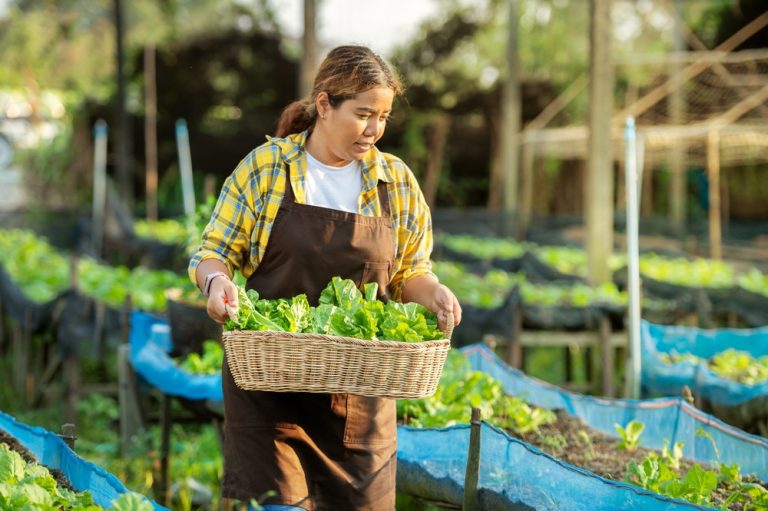 The Backyard Gardening Trend That’s Exploding Across America This Summer