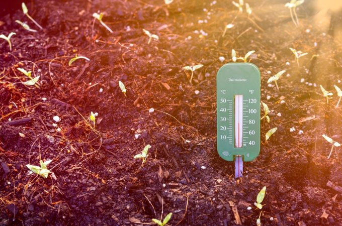 The Heatwave Gardening Mistake Experts Keep Warning About