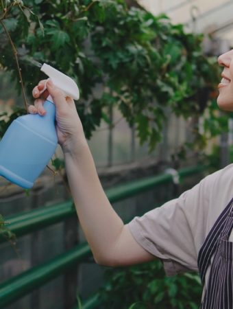 8 Cheap Gardening Supplies That Work Better Than Expensive Versions