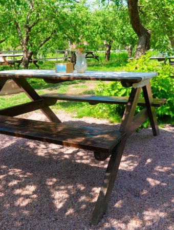 7 Plants That Help Keep Outdoor Spaces Cooler Naturally