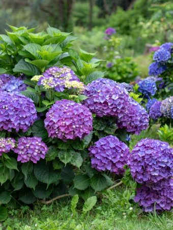 9 Gardening Tricks That Can Stretch a Small Budget Further