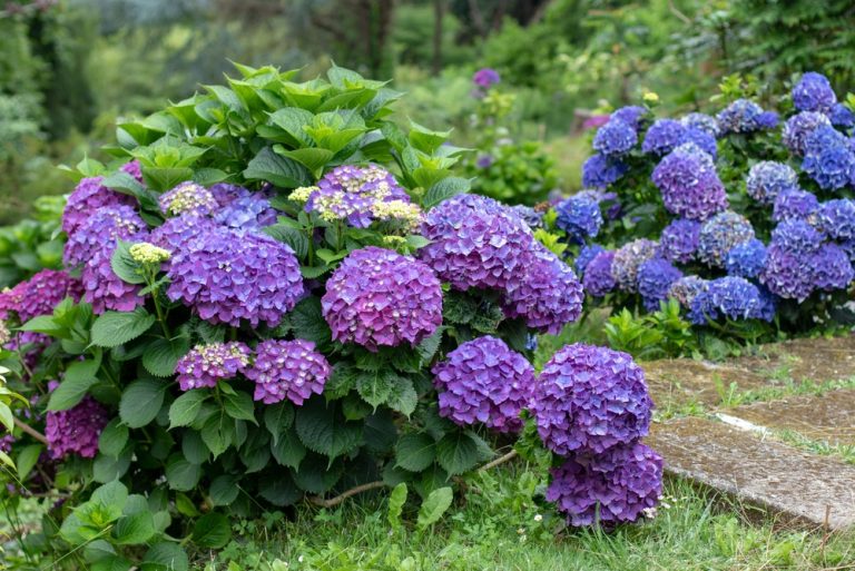 9 Gardening Tricks That Can Stretch a Small Budget Further