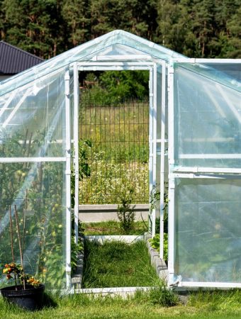 Why More Americans Are Building Backyard Greenhouses