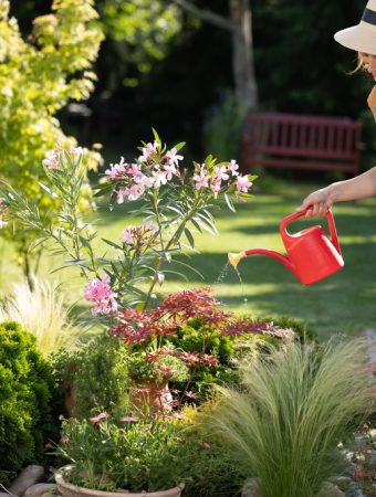 Why Summer Gardening Feels Harder Than It Did 10 Years Ago