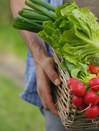 8 Vegetables That Produce More Than Most People Expect