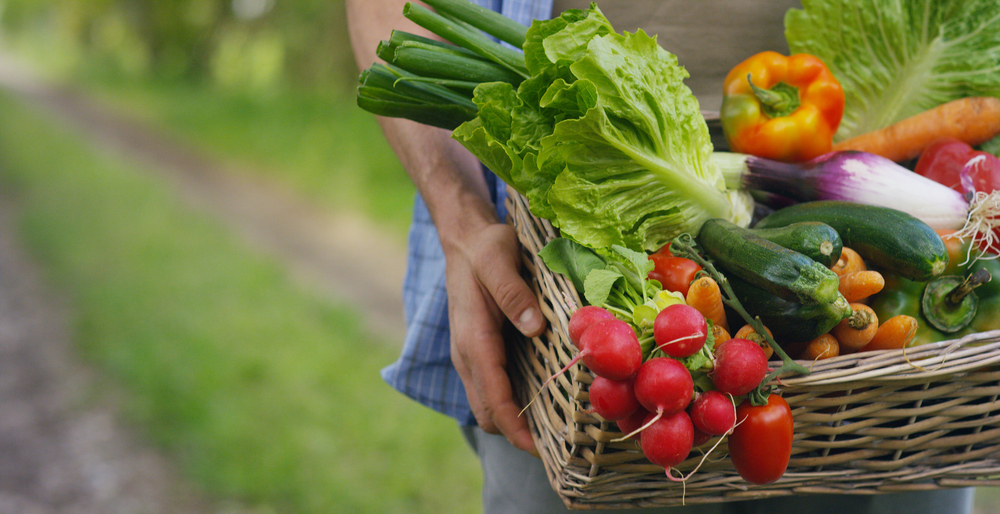 8 Vegetables That Produce More Than Most People Expect