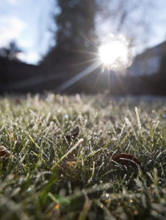 Should You Stop Mowing Dormant Grass During a Dry Spell?
