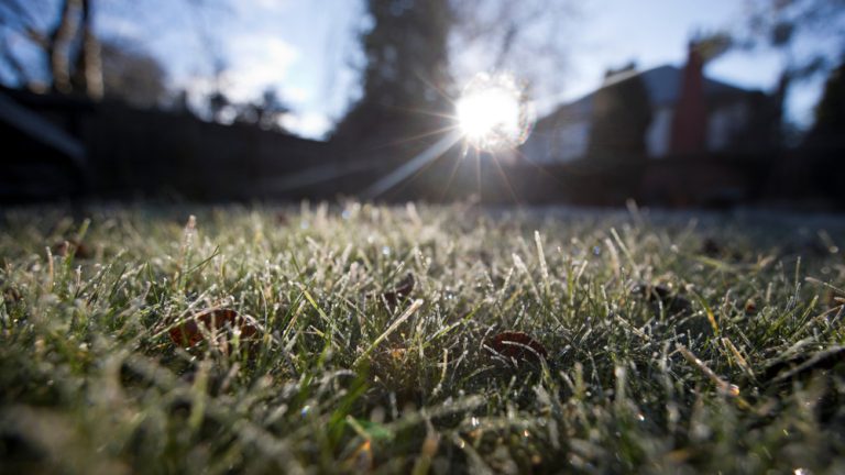 Should You Stop Mowing Dormant Grass During a Dry Spell?
