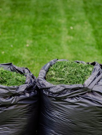 Why Grass Clippings Can Carry Herbicide Into Vegetable Beds