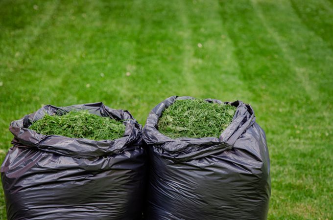 Stop Throwing Away Lawn Clippings: Use “Leaf Litter” as Mulch to Feed Soil and Save Money