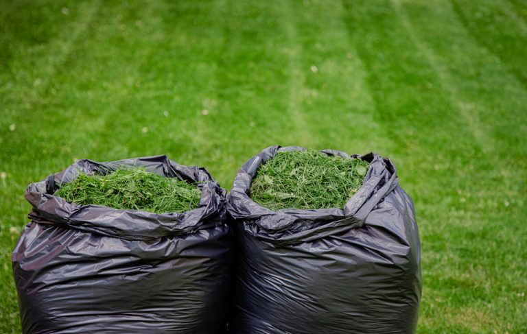 Stop Throwing Away Lawn Clippings: Use “Leaf Litter” as Mulch to Feed Soil and Save Money