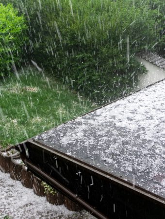 5 Crops That Recover Quickly After a Hailstorm