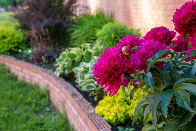 9 Gardening Trends That Are Suddenly Falling Out of Favor