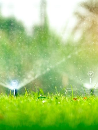 Are Smart Irrigation Timers Worth It for a Tiny Yard?