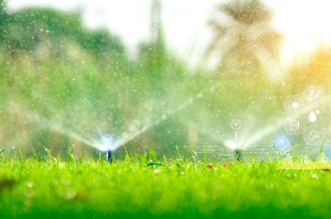 Are Smart Irrigation Timers Worth It for a Tiny Yard?