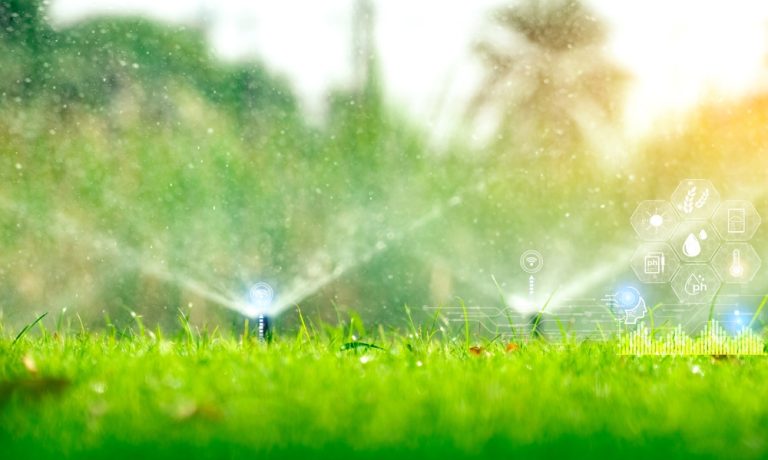 Are Smart Irrigation Timers Worth It for a Tiny Yard?