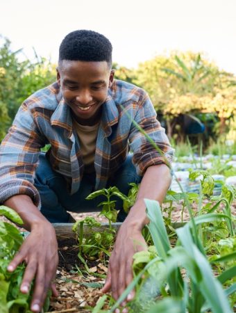 Why Are More Gardeners Choosing Plants With Multiple Uses?