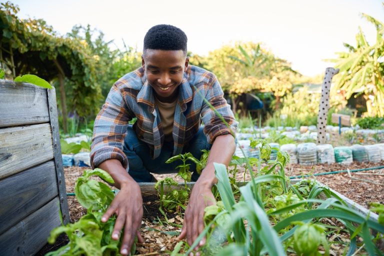 Why Are More Gardeners Choosing Plants With Multiple Uses?
