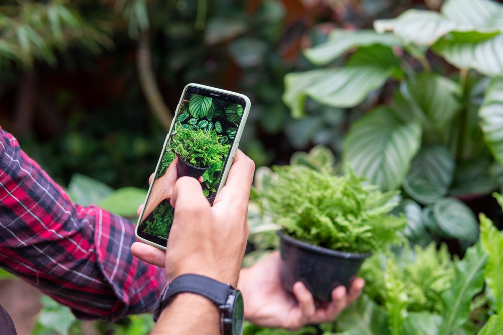 Why Gardeners Should Photograph Plant Problems Before Treating Them